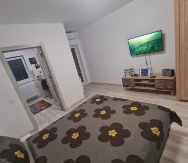 Sector 3 Apartment | Siriului Studio
