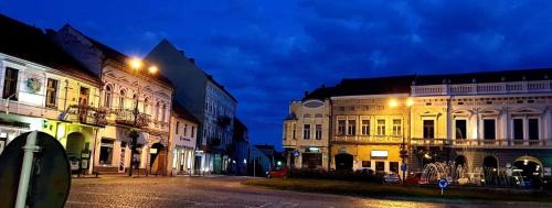 Targu Secuiesc House | Sissy Vendégház