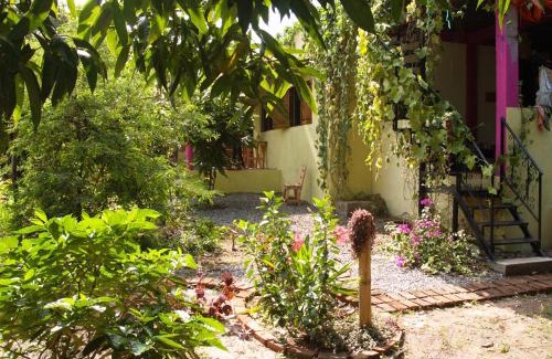 Palomino House | Sistarasta