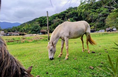 Camburi House | Sitio 6 Irmãos