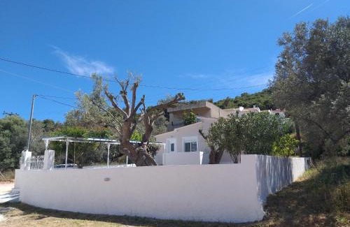 Scala House | Skala Central House
