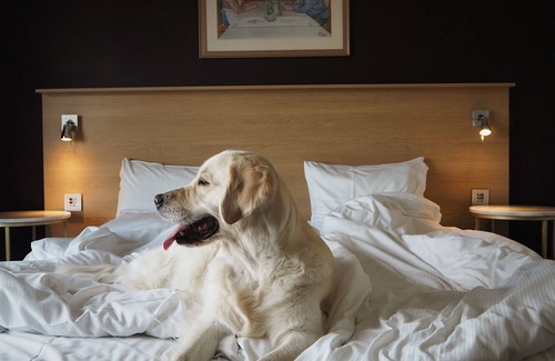Norra Skara Hotel | Skara Konsthotell