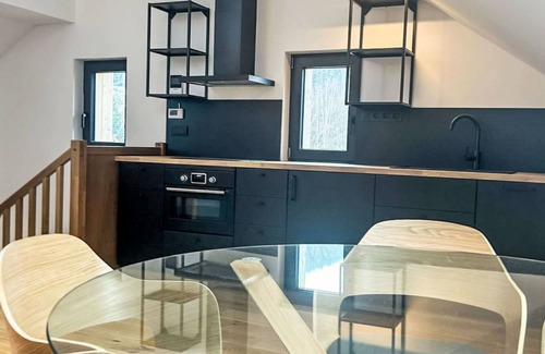 Janske Lazne Apartment | Ski&Bike Siréna 4+2 by Interhome