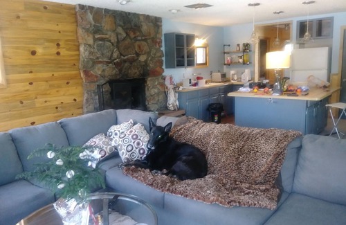 Ptarmigan Mountain Cabin | Ski cabin space on 1.5 acres