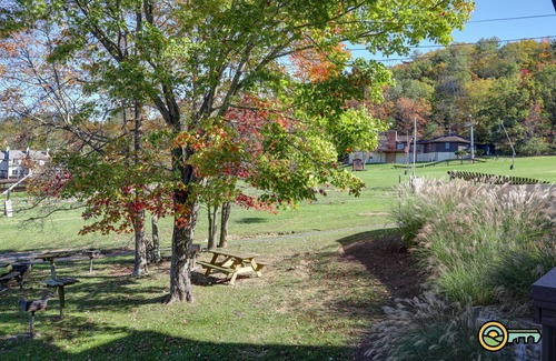Mount Jackson Condo | Ski/MTB/Golf Condo (#115) - Slope side | Ski slope & Resort views | Walk-in access!