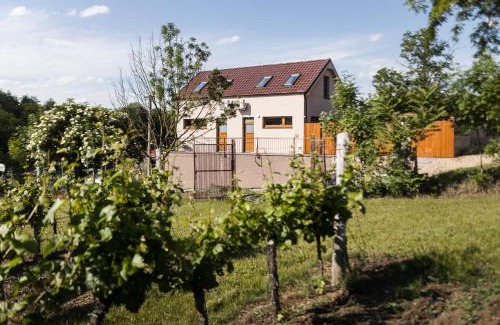 Brod nad Dyji Apartment | Sklep na Správném místě - degustace, ubytování a wellness