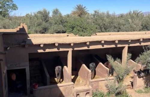 Skoura House | Skoura Ranch - Palmeraie