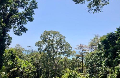 Rocky Point House | Sky: rainforest and ocean views with jacuzzi