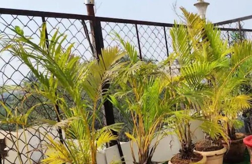 Marine Lines Cabin | Sky StudionClassy place view of Mumbai in Heart of city and tourist place.