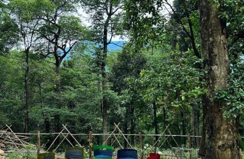 Lakkidi Hotel | Skyfall Adventures Forest Pool Resort Wayanad