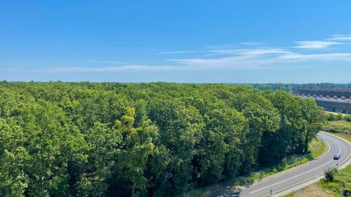 Calea Sever Bocu Apartment | Skyline Forest View Timisoara