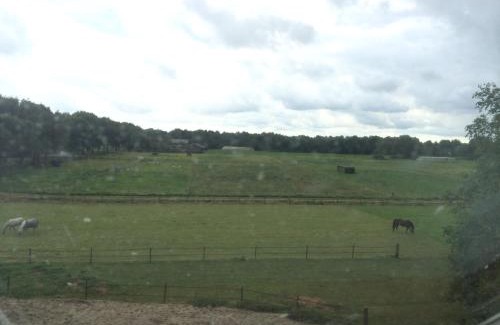 Anderen Bed & Breakfast | Slaopen en Stoet