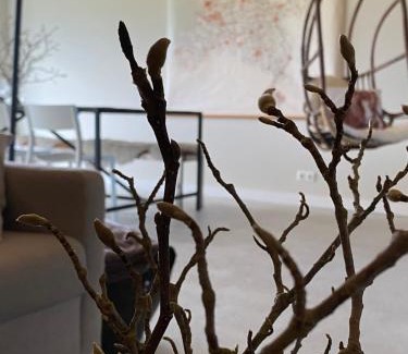 Chaam Bed & Breakfast | Slapen bij Uppruna