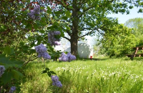 Antheit Other | Sleep in a bubble