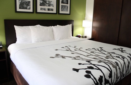 Ellenboro Hotel | Sleep Inn Ellenboro Hwy 50
