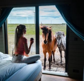 Hvolsvollur Apartment | Sleeping with the Horses