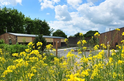 Chedworth House | Sleeps 8 , Dogs Welcome, No smoking, Wood Burner, Wi-Fi, Courtyard Garden, Cot and Highchair, Off ro
