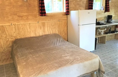 Fayetteville Hotel | Sleeps up to 4, kitchenette, full bathroom, fire ring/picnic table, air conditioned/heated.