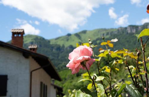 Brentonico Apartment | Slow Time Garden Monte Baldo