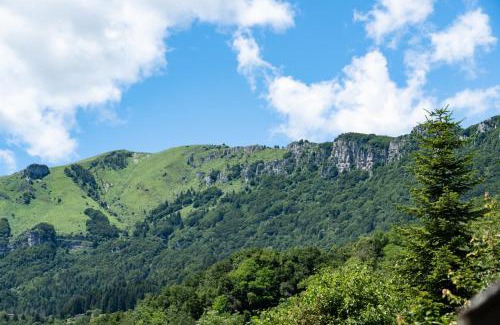 Brentonico Apartment | Slow Time Garden Monte Baldo