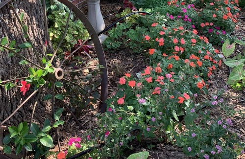 Tishomingo Cabin | Small apartment with full kitchen on a working cattle ranch