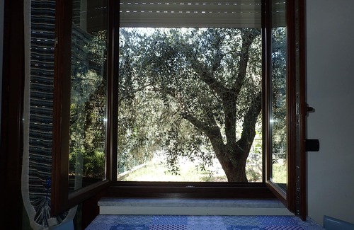 Giustenice House | Small house among the olive trees near the sea 009031LT0003