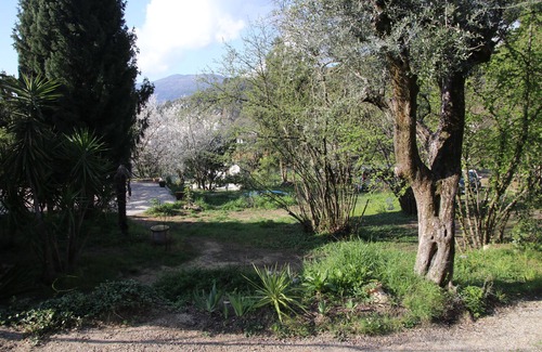 Contes Cottage | Small quiet house surrounded by olive trees between sea and mountains