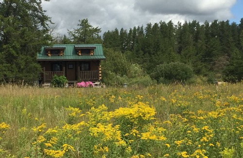 Shevlin Cabin | Small Rustic cabin at the Black Lantern Resort