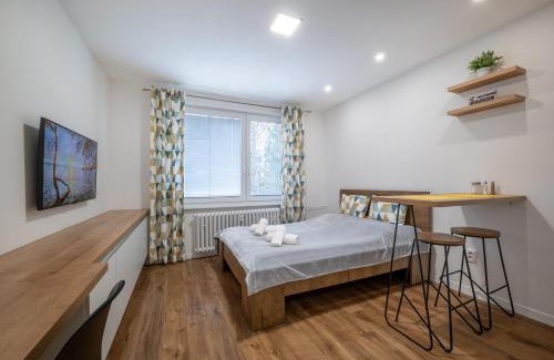 Zilina Apartment | Smart Home Žilina