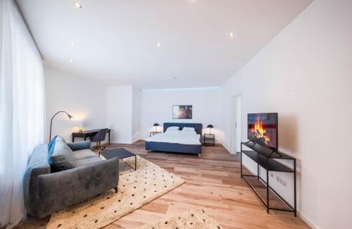 Krems an der Donau Apartment | Smile Apartments zum Goldenen Hirschen