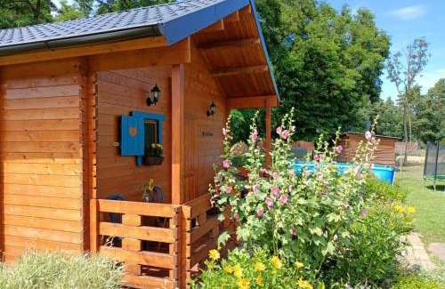 Osno Lubuskie House | Smocze Ranczo