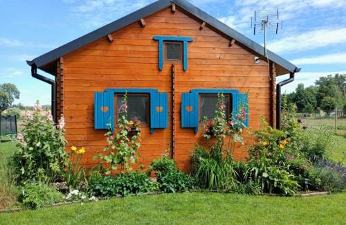 Osno Lubuskie House | Smocze Ranczo