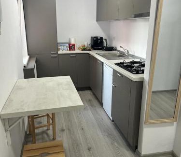 Calea Sever Bocu Apartment | SMP LIPOVEI