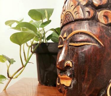 Central Yogyakarta House | Snooze