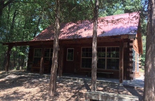 Scranton Cabin | SNOW'S LOG CABIN ON LAKE DARDANELLE ON DUBLIN BAY 🐟🦌