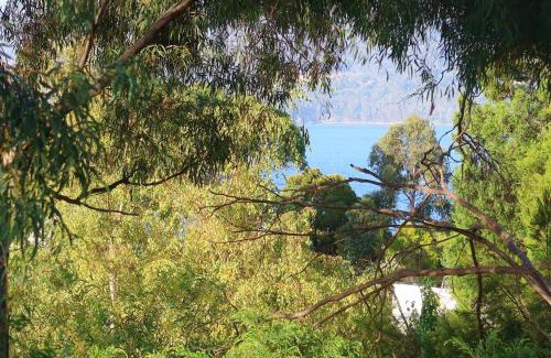 Lower Snug House | Snug Sanctuary - A gem in the forest 20 min to CBD