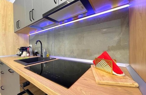 Timisoara Apartment | Sofia Q Apartment Free Parking
