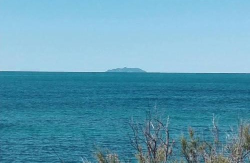 Livorno Apartment | Sogno Mediterraneo