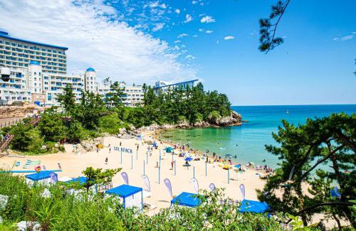 Donghae Hotel | Sol Beach Samcheok
