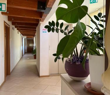 San Giovanni Rotondo House | Solaria House appartamenti con cucina a 200 MT dalla Basilica di Padre Pio e 600 MT dall'ospedale Casa Sollievo della Sofferenza