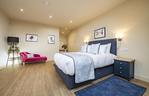 York House | Solaris