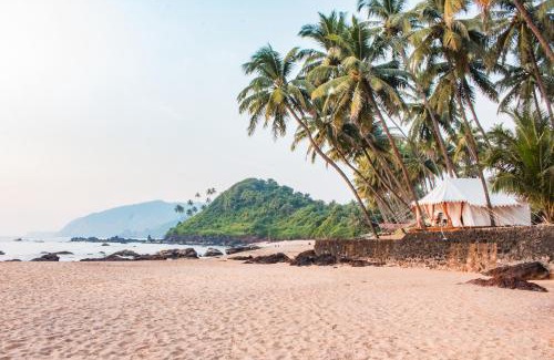 Cola Resort | Soneca Cola