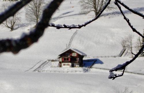 Schoenried Apartment | Sonnenfreude, Chalet by Interhome