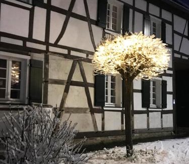 Alfter Apartment | Sonnige Fachwerkwohnung