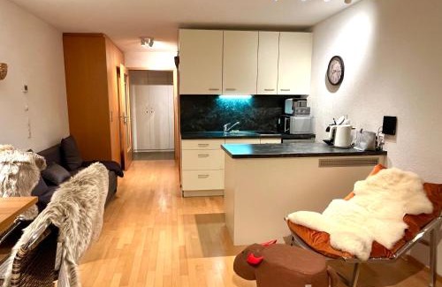 Damuels Apartment | Sonniges Bergblick-Appartement