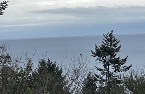 Otter Point House | Sooke, tranquil room only accommodation , overlooking Juan De Fuca Straits.
