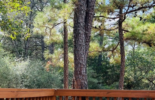 Circle D-KC Estates Cabin | Sophie’s cabin - In lost Pines! 2mi to Bastrop Lake