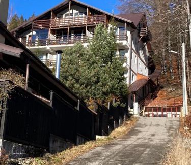Azuga Apartment | Sorica Studio - near the ski slopes