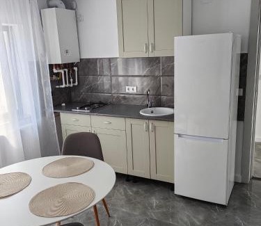 Tirgu Neamt Apartment | SorinaApartament3