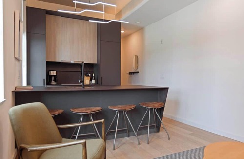 Logan Square Apartment | Sosuite | 1BR Apt w Roof Deck, Gym, Laundry